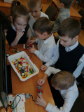 IMG_20200124_131328